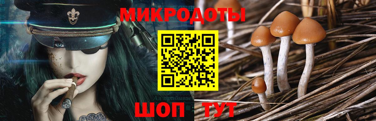 Псилоцибиновые грибы мицелий  Вход с VPN  Знаменск 